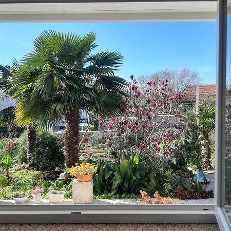 Apartments Summer Bloom Крк Екстер'єр фото