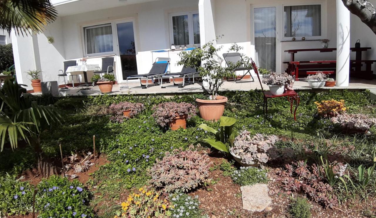 Apartments Summer Bloom Крк Екстер'єр фото