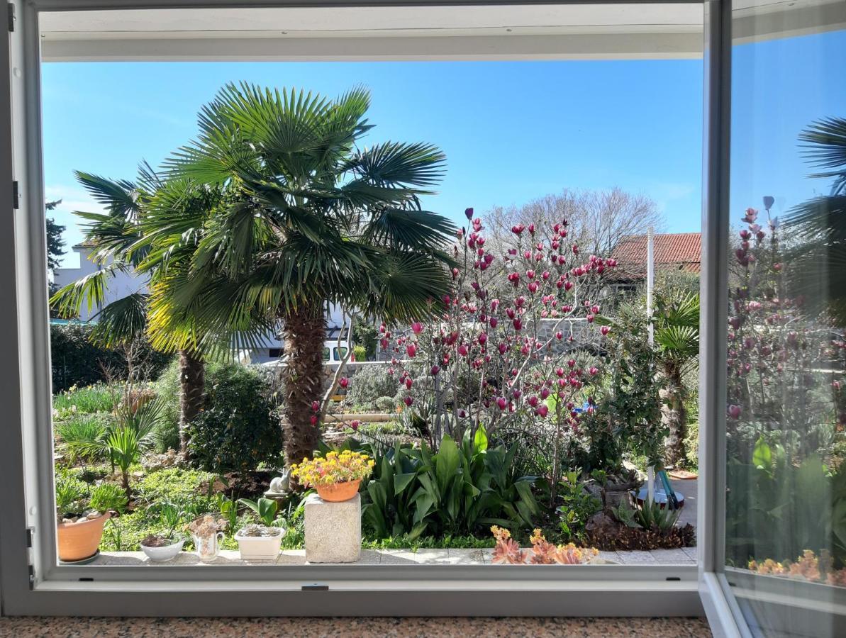 Apartments Summer Bloom Крк Екстер'єр фото