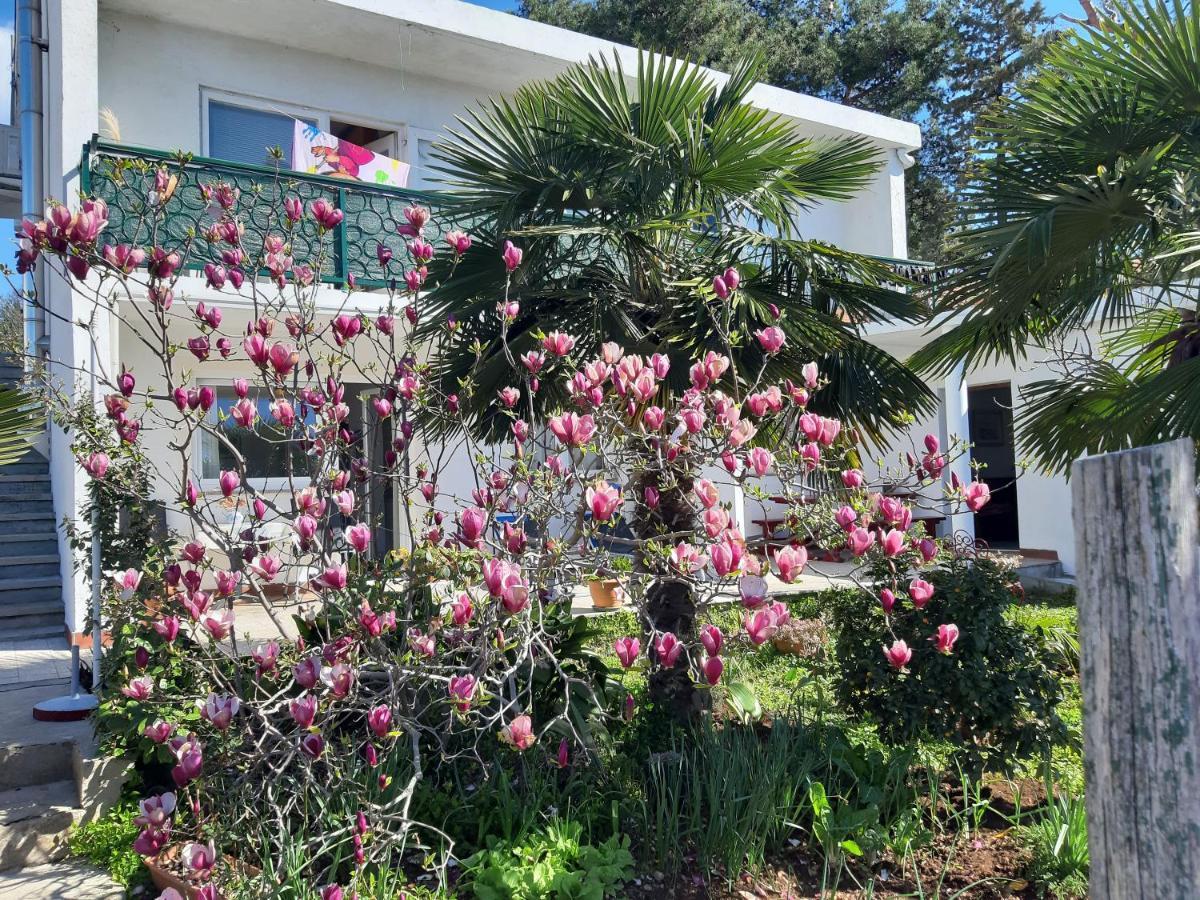 Apartments Summer Bloom Крк Екстер'єр фото
